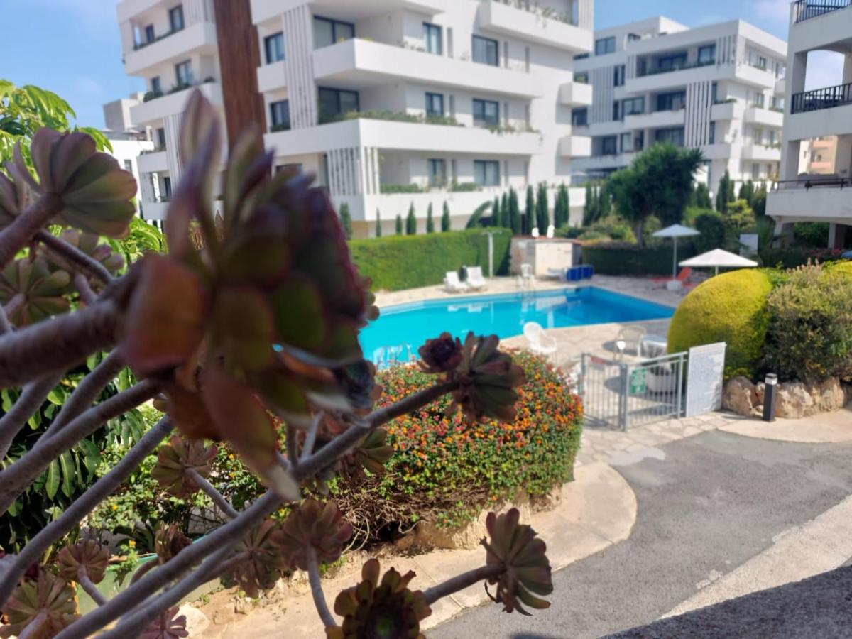 Apartment 1st Floor 1st Class Pool View Apt. Paphos